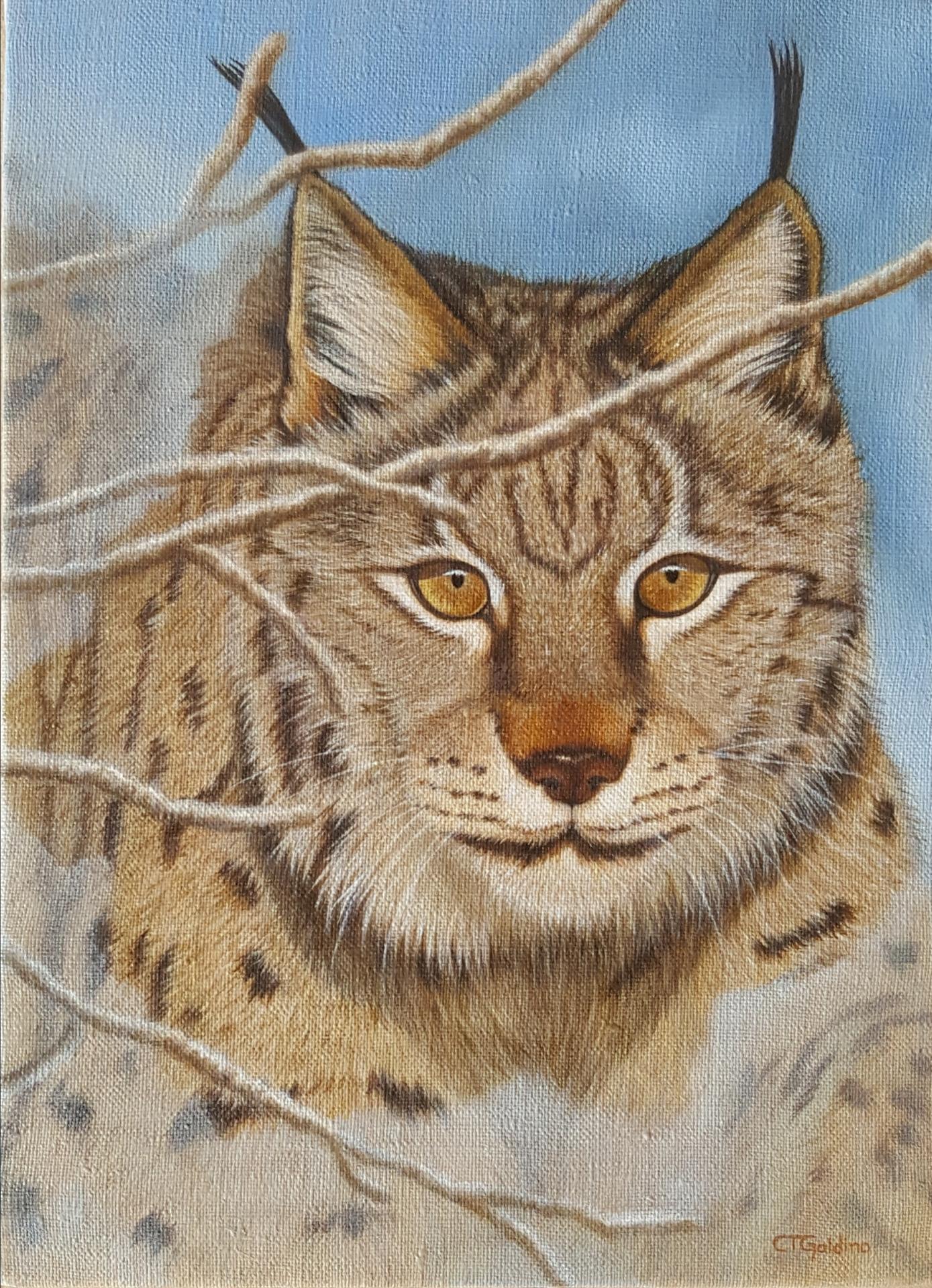 Lynx